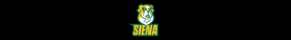 Siena University