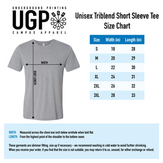 Old Dominion University Monarchs Division Arch Canvas Triblend Short Sleeve T Shirt - Athletic Grey