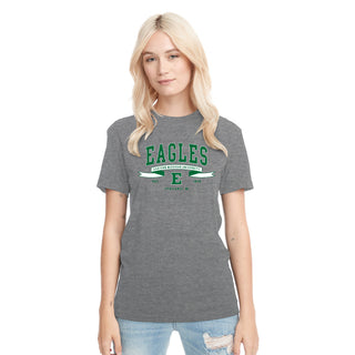 Eastern Michigan Ribbon Flight NLA Triblend T-Shirt - Premium Heather