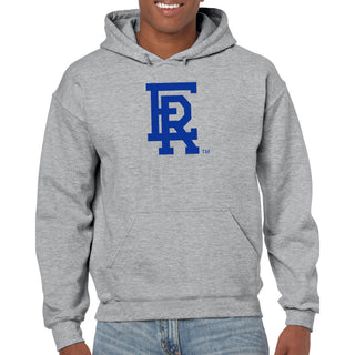 Embry-Riddle Aeronautical University Eagles Daytona Primary Logo Hoodie - Sport Grey