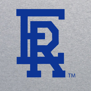 Embry-Riddle Aeronautical University Eagles Daytona Primary Logo Women's T Shirt - Sport Grey