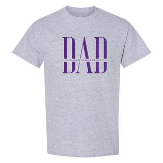 Furman Classic Dad T-Shirt - Sport Grey