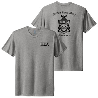 Epsilon Sigma Alpha Greek LC & Back Print Triblend T-Shirt - Premium Heather