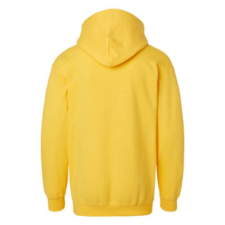 UGP Block Michigan Youth Soft Hoodie - Daisy