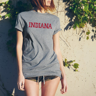 Indiana Hoosiers Basic Block T-Shirt