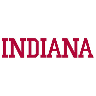 Indiana Hoosiers Basic Block Hoodie