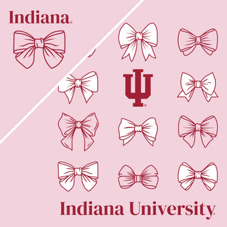 Indiana Bow Bliss Crewneck - Light Pink