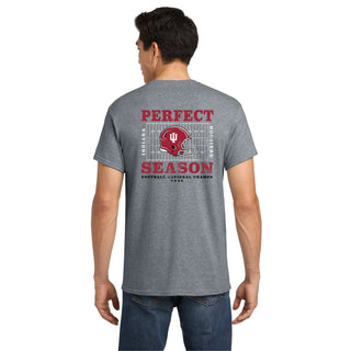 Indiana Perfect Season National Champions 2025 T-Shirt - Graphite Heather