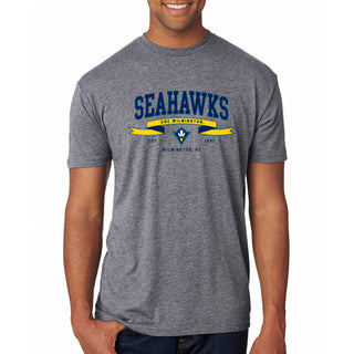 UNC Wilmington Ribbon Flight NLA Triblend T-Shirt - Premium Heather