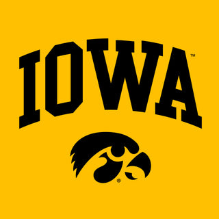 University of Iowa Hawkeyes Arch Logo Premium Cotton Short Sleeve T Shirt - Gold