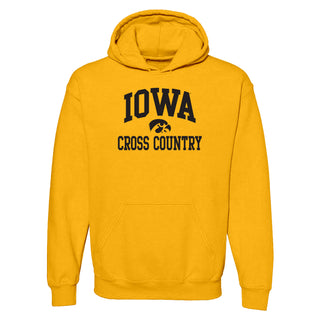 University of Iowa Hawkeyes Arch Logo Volleyball Hoodie - Gold