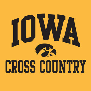 University of Iowa Hawkeyes Arch Logo Volleyball Hoodie - Gold
