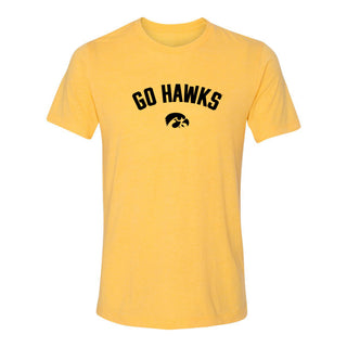 Iowa Go Hawks Arc Canvas Triblend T-Shirt