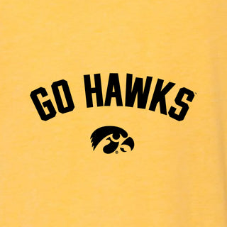 Iowa Go Hawks Arc Canvas Triblend T-Shirt