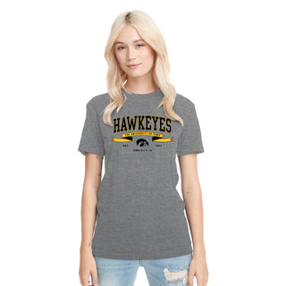 Iowa Ribbon Flight NLA Triblend T-Shirt - Premium Heather