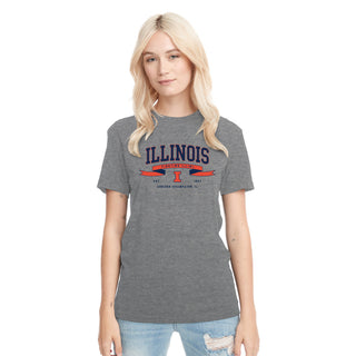 Illinois Ribbon Flight NLA Triblend T-Shirt - Premium Heather