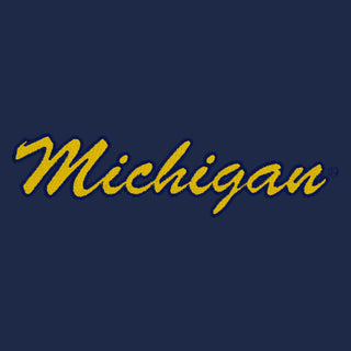 Michigan Script Wordmark LC BTB Fleece 1/4-Zip