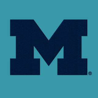 Michigan Primary Logo Dad Hat