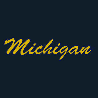 Michigan Script Wordmark Cuffed Beanie - Navy