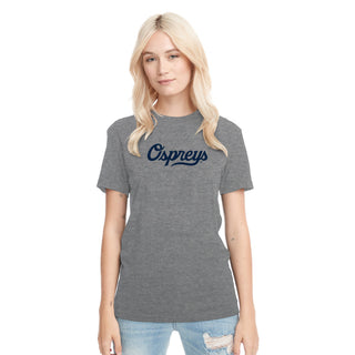 North Florida Script Logo NLA Triblend T-Shirt