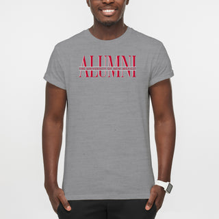 New Mexico Lobos Classic Alumni T-Shirt - Sport Grey