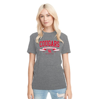 Houston Ribbon Flight NLA Triblend T-Shirt - Premium Heather
