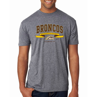 Western Michigan Ribbon Flight NLA Triblend T-Shirt - Premium Heather