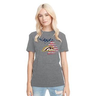 Western Michigan Patriotic State Silhouette NLA Triblend T-Shirt - Premium Heather