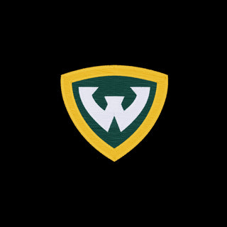 Wayne State Primary Logo EMB 1/4 Zip
