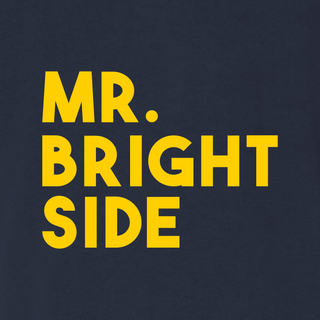 Mr. Brightside Triblend T-Shirt - Navy
