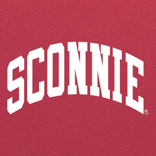 Load image into Gallery viewer, Original Sconnie Tri-Blend T-shirt - Vintage Red