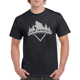 New Mexico Bear Arch T-Shirt - Black