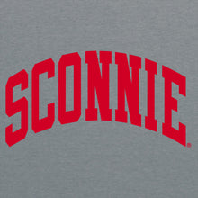 Load image into Gallery viewer, Sconnie Comfort Colors 1/4 Zip - Grey