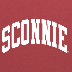 Sconnie Arch Womens Relaxed Jersey V-Neck Tee - Red Triblend