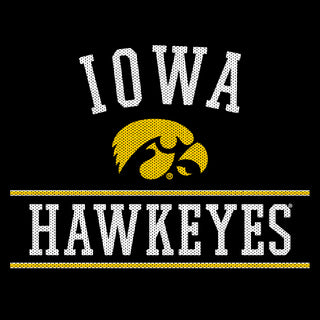 Mesh Arch Iowa Hawkeyes Heavy Blend Hoodie - Black