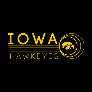 University of Iowa Hawkeyes Logo Ping Cotton Heavy Blend Hoodie - Black