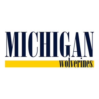 University of Michigan Wolverines Boldline Basic Cotton Crewneck Sweatshirt - White