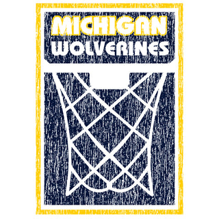 Michigan Wolverines Basketball Net Block T Shirt - White